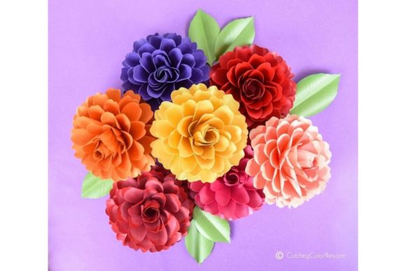 Download Dahlia Paper Flower Templates - Premium Resources